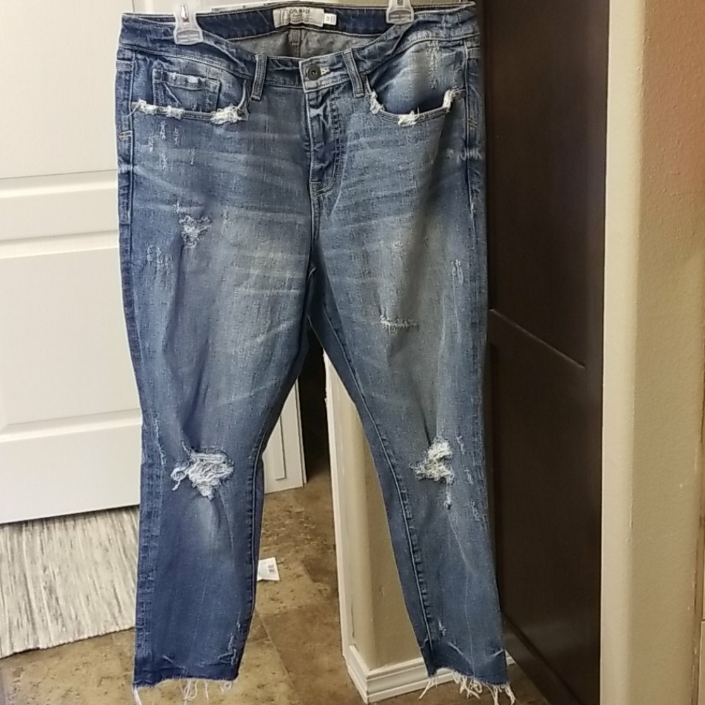 Torrid distressed jeans